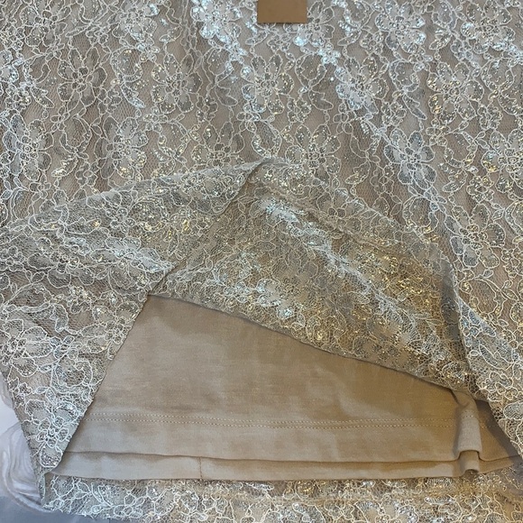 Cremieux Cody Skirt Silver/Taupe Sparkle Lined Midi Length, Lined, Size Medium - Picture 10 of 14